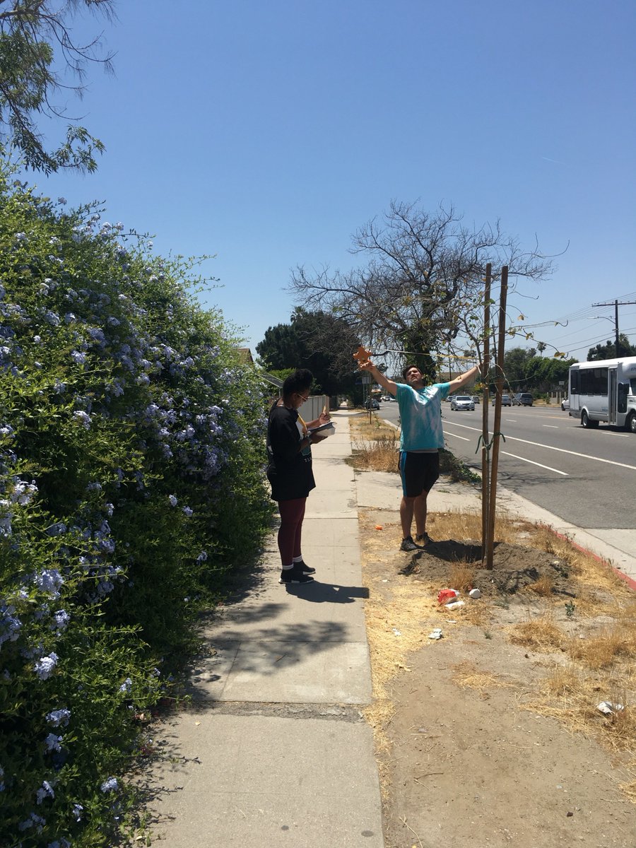 CURes_LMU's tweet photo. Interested in learning about how CURes is combating climate change through tree monitoring in the San Fernando Valley? Check out our blog!
https://t.co/yGcd6Aooux
#trees #research #undergraduates #climatechange #summer #LosAngeles https://t.co/u7nO3GI6Oj