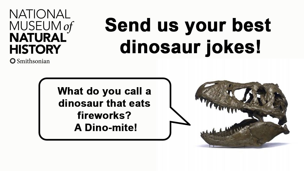 Dinosaur Jokes For Adults