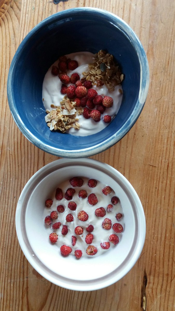 MidfieldsGranol's tweet photo. Wild strawberries for two for #breakfast, with of course Pecan and Coconut #Midfields Granola and Greek Yogurt https://t.co/TU1IBchmOg