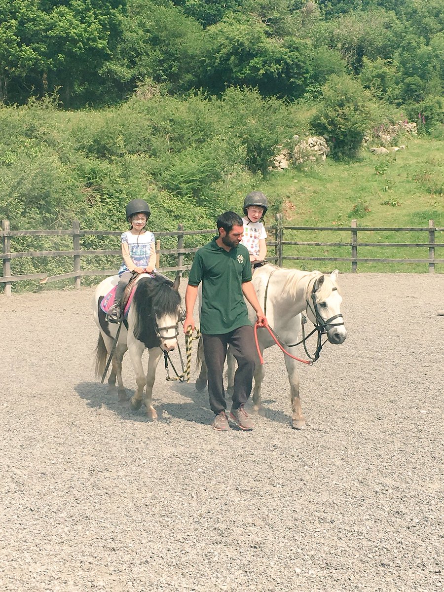 SeniorInfGETNS's tweet photo. School Tour in Sliabh Aughty a few weeks back was one of our most memorable days in Senior Infants. We had great fun! 🐎🐖🐔#infantmemories https://t.co/9DAq6MDUVv