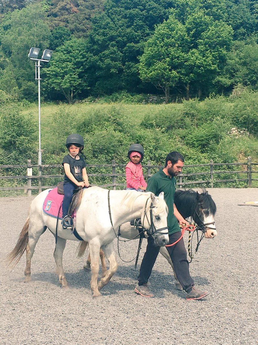 SeniorInfGETNS's tweet photo. School Tour in Sliabh Aughty a few weeks back was one of our most memorable days in Senior Infants. We had great fun! 🐎🐖🐔#infantmemories https://t.co/9DAq6MDUVv