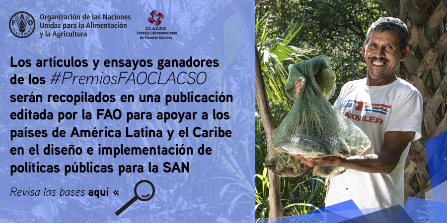 Los artículos y ensayos ganadores de los #PremiosFAOCLACSO serán recopilados en una publicación editada por @FAO para apoyar a los países de América Latina y el Caribe en el diseño e implementación de políticas públicas para la SAN Revisa las bases aquí: ow.ly/kz6230kyjLW