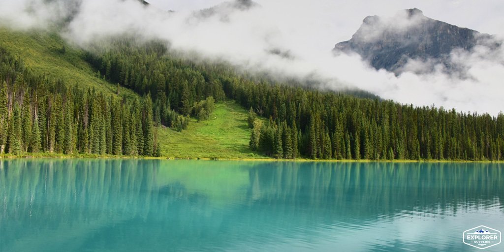 explorersup's tweet photo. #explore #explorer #travel #traveling #birdwatching #camping #binoculars #kidsbinoculars #kids #family #equipment #nature #birds #animals #destinations #quotes #explorersupplies #adventure https://t.co/cJtRrbqjXV