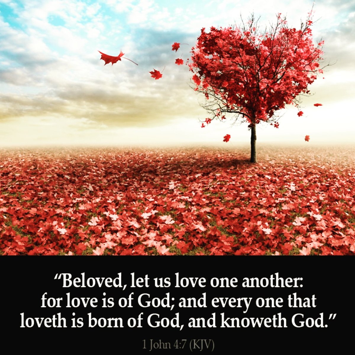 netblessings's tweet photo. Love is of God! #letusloveoneanother #beloved #godislove #loveyourself #lovethyneighbor #loveyourenemies #loveistheanswer #lovewins #familymatters #youmatter #youareloved https://t.co/Axzi01vJfe