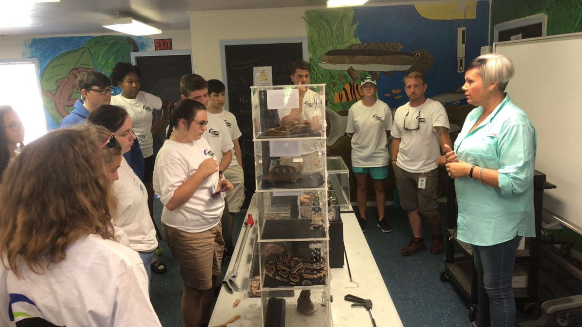 CoachStoneham's tweet image. Reptile Expo on Day 3 of @SturgeonCityNC Science Institute! @nbms_sciencelab