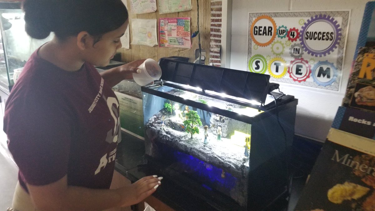 DesignedStudent's tweet image. Jenn adding guppies to our #StrangerThings aquarium!