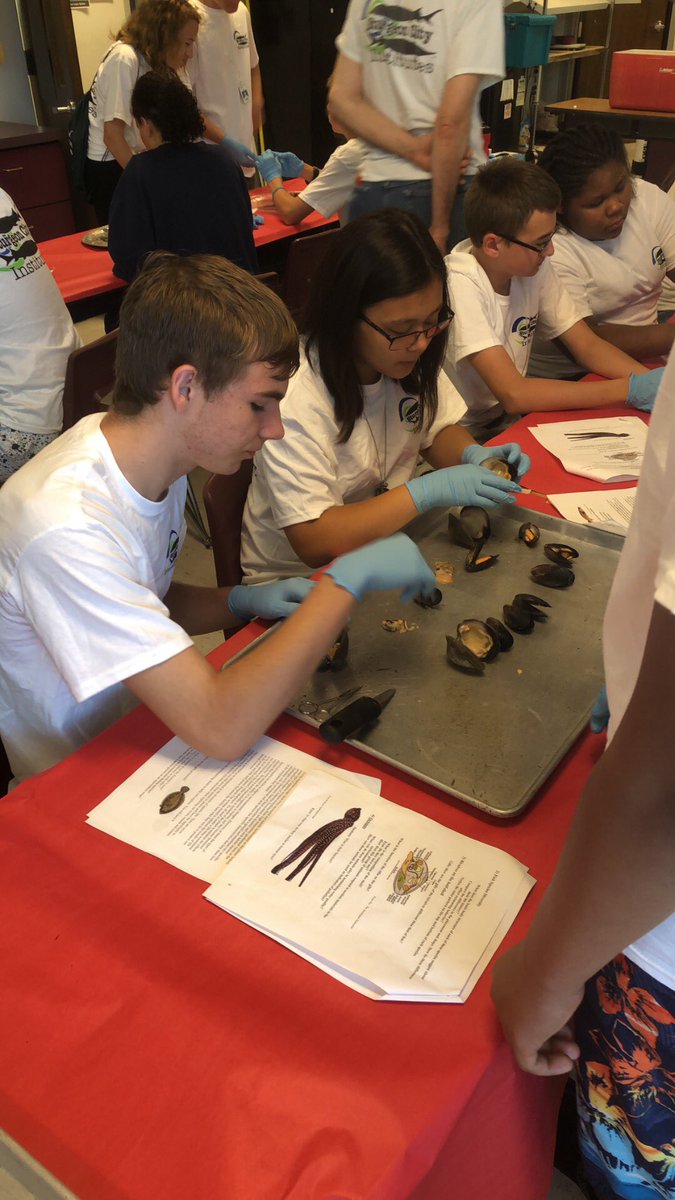 CoachStoneham's tweet image. Comparative Anatomy @SturgeonCityNC Science Institute! Great to see former New Bridge students teaching some of our most recent class of 8th Graders!  @nbms_sciencelab