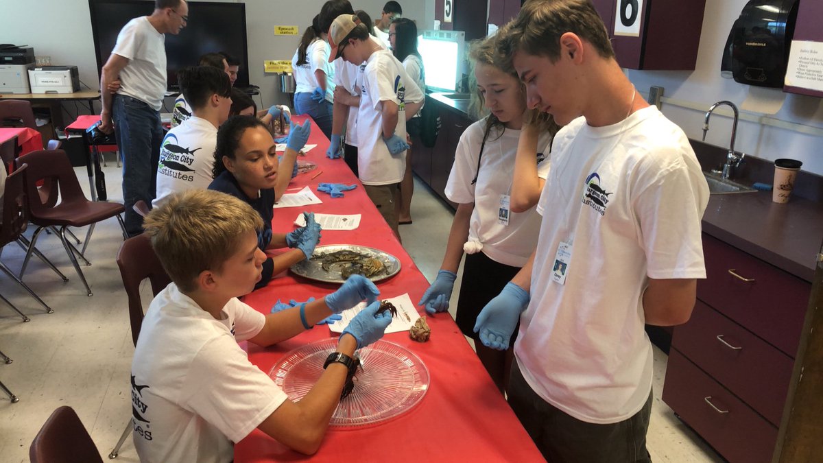 CoachStoneham's tweet image. Comparative Anatomy @SturgeonCityNC Science Institute! Great to see former New Bridge students teaching some of our most recent class of 8th Graders!  @nbms_sciencelab