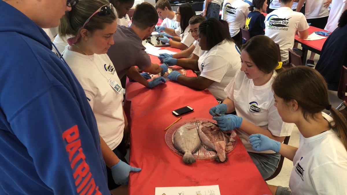 CoachStoneham's tweet image. Comparative Anatomy @SturgeonCityNC Science Institute! Great to see former New Bridge students teaching some of our most recent class of 8th Graders!  @nbms_sciencelab