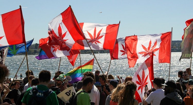 WeedWiki1's tweet photo. RT @canna_tweets: Canada Becomes The Second Country To Legalize Marijuana https://t.co/zL9NLEMQas https://t.co/gt3wjSQrUx