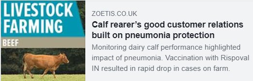We really liked this case study focusing on the benefits of using an intranasal vaccine in dairy calves. 

If you would like any advice on preventative pneumonia care, please give us a call - 01363 772860

bit.ly/2tbCupc