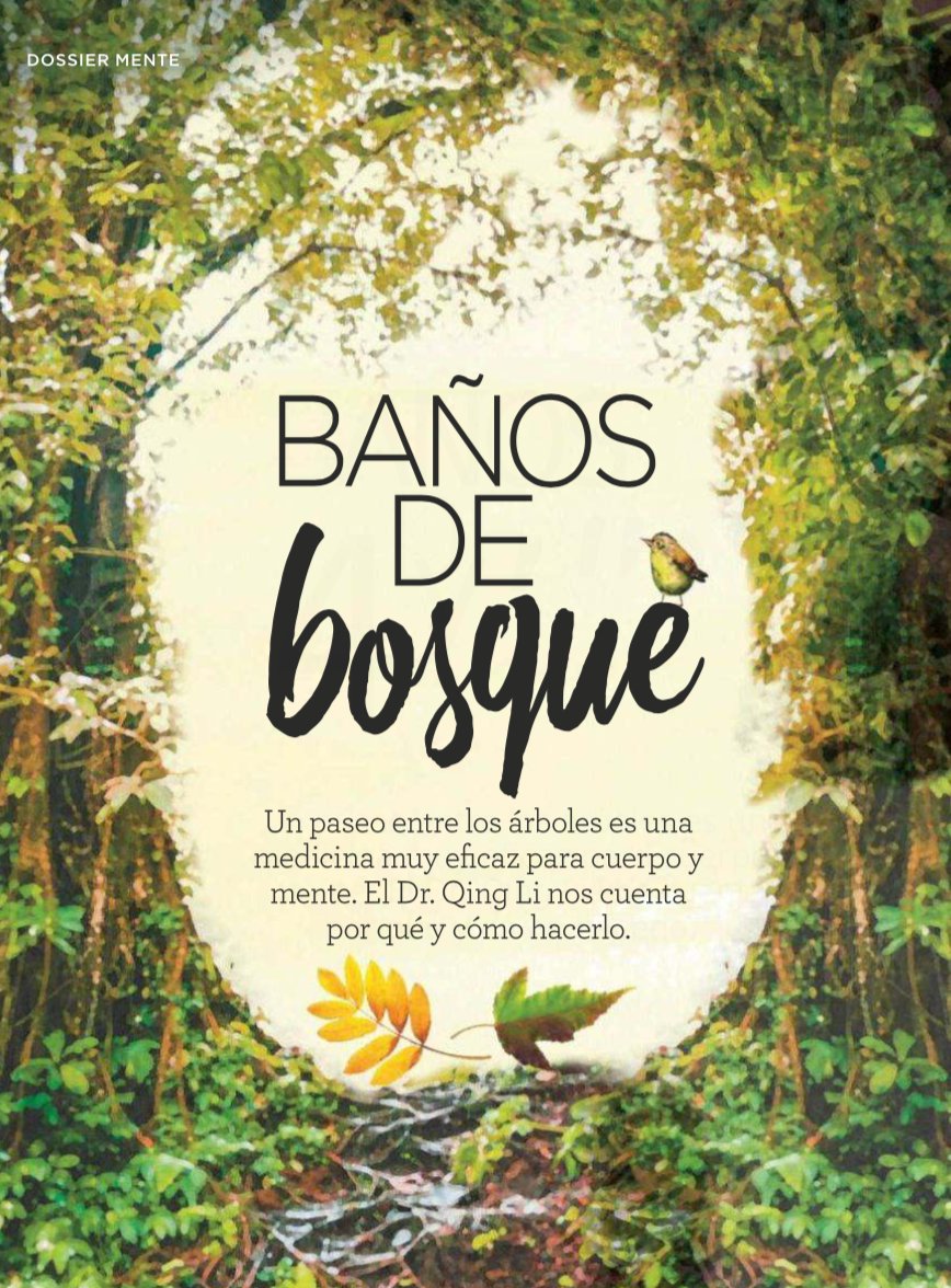 RocaEditorial's tweet photo. Esta semana no os perdáis la revista @Cuerpomente y el superreportaje que dedican a los #BañosDeBosque del Dr. #QingLi y #ElPoderDelBosque 🌲🌿 #ShinrinYoku https://t.co/jzJurR4ZbX