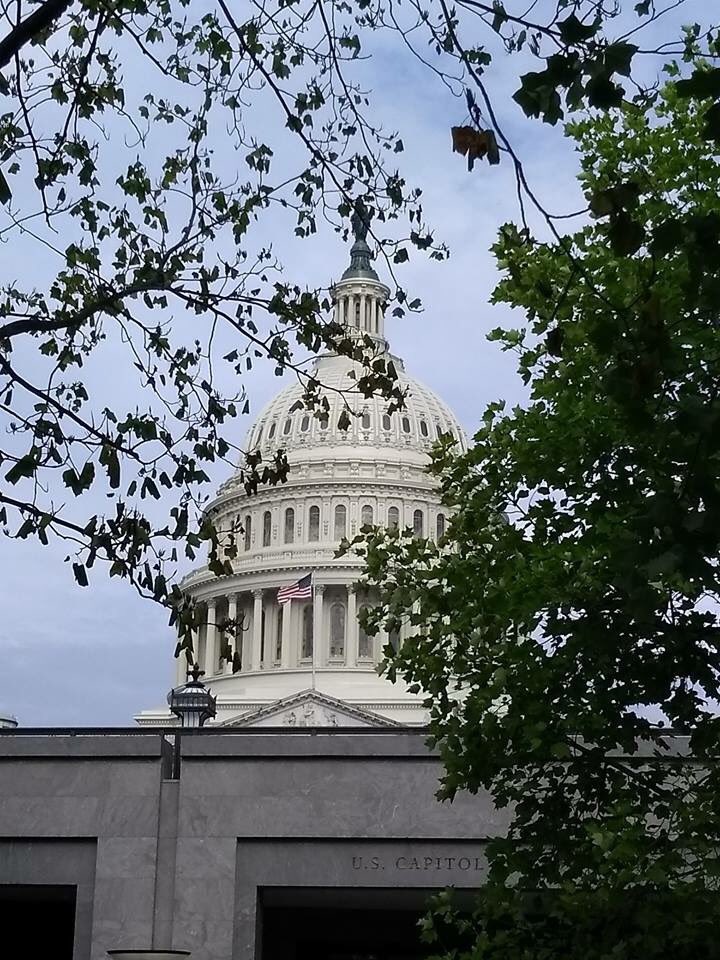 csupalliative's tweet photo. We're in Washington DC today to advance the cause of palliative care for patients and families everywhere. Let our voices be heard! #palliative #hpm #PQLC @AAHPM @CAPCpalliative @CoalitionCCC https://t.co/ZAROoGkqO6