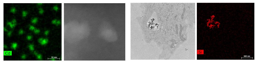 A new instrument in electron microscopy to explore new dimensions dlvr.it/QXxNbT