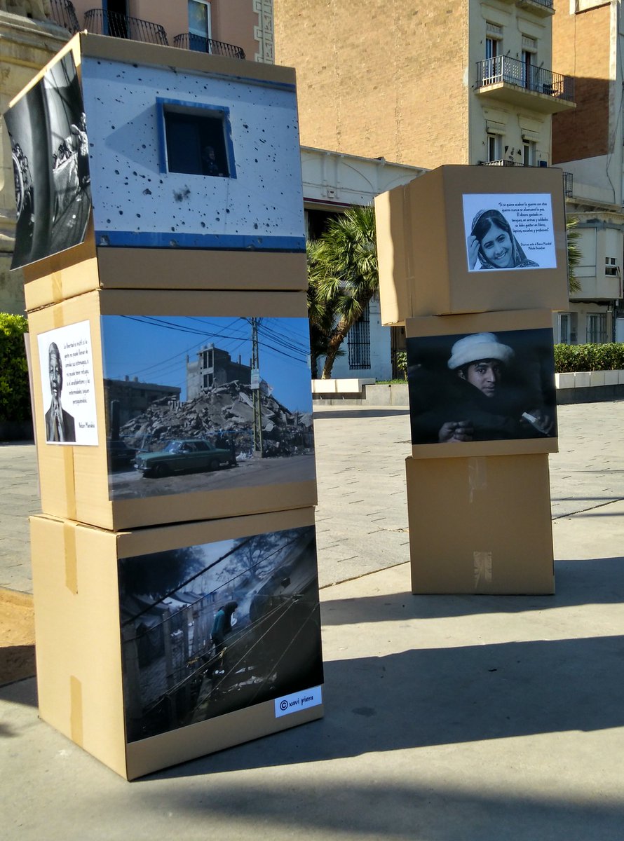 Moviment per la Pau - Catalunya tweet media