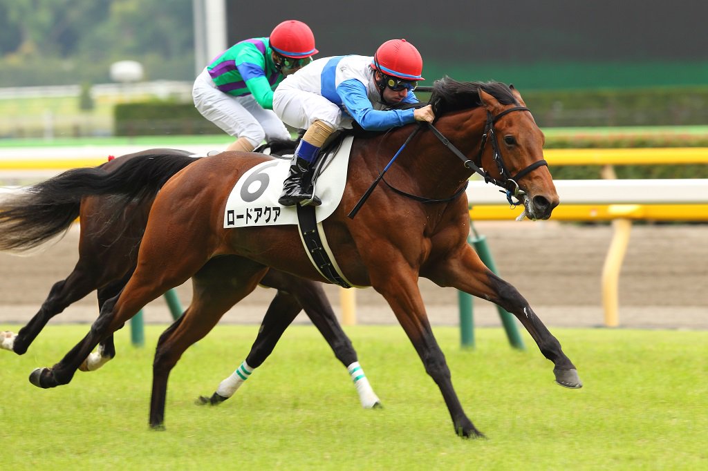 ロードホースクラブ