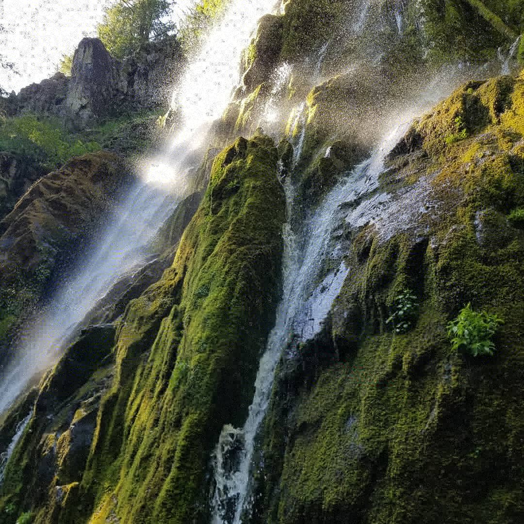 NomaditAgain's tweet photo. Waterfalls and camping this "weekend" at Row River. It's amazing to have so much to see in close proximity.
#oregon #waterfalls #workcamping #rowriver #gooutside #craterlakejobs #nature #beauty #hiking #fulltimerving #fulltimerv #traveltrailer #retrotrailer #nomaditagain https://t.co/sCMRwk0rob