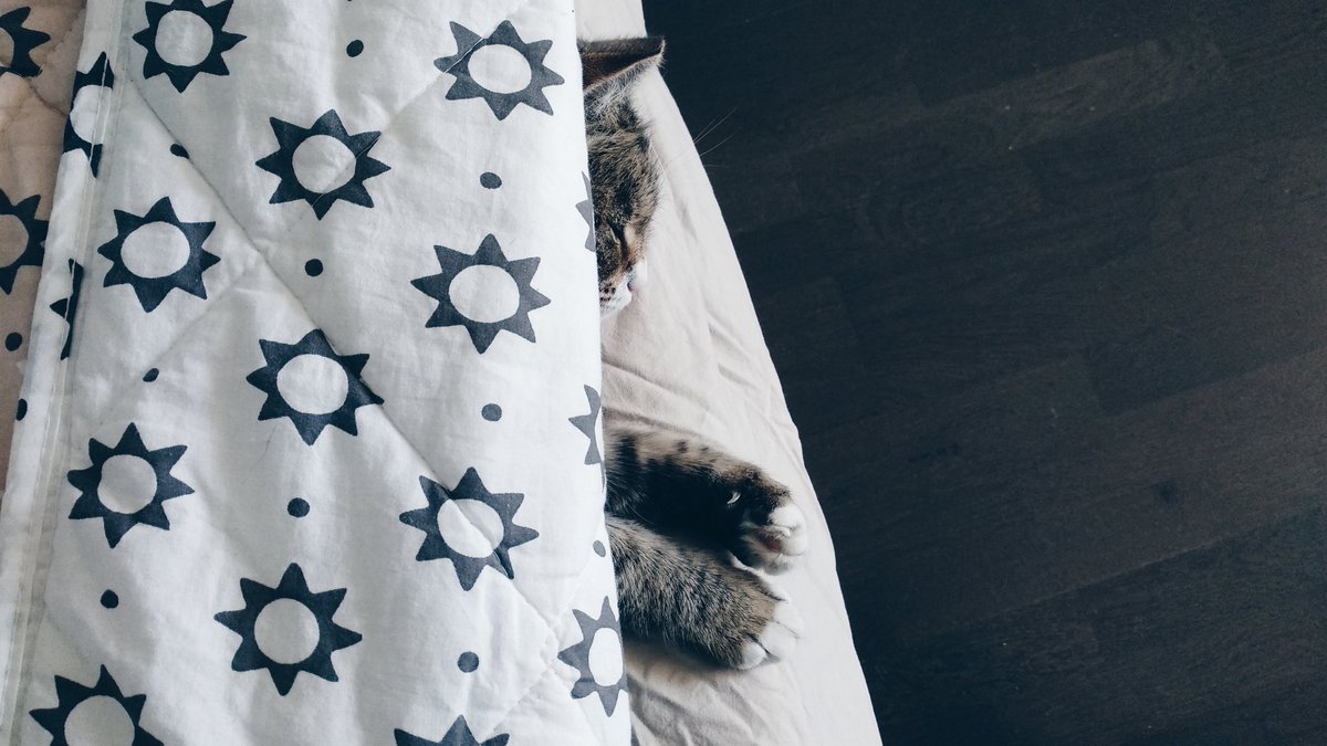 daria_mikhay's tweet photo. VOCABULARY
cat (female) - кошка, cat (male) - кот, cats - кошки.
I have a cat - У меня есть кошка (кот).
A pet - домашнее животное.
Do you have a pet? - У тебя есть домашнее животное?
#MinuteofRussian #learnrussian #dariamikhay #easyrussian https://t.co/aaSBOQzU8m