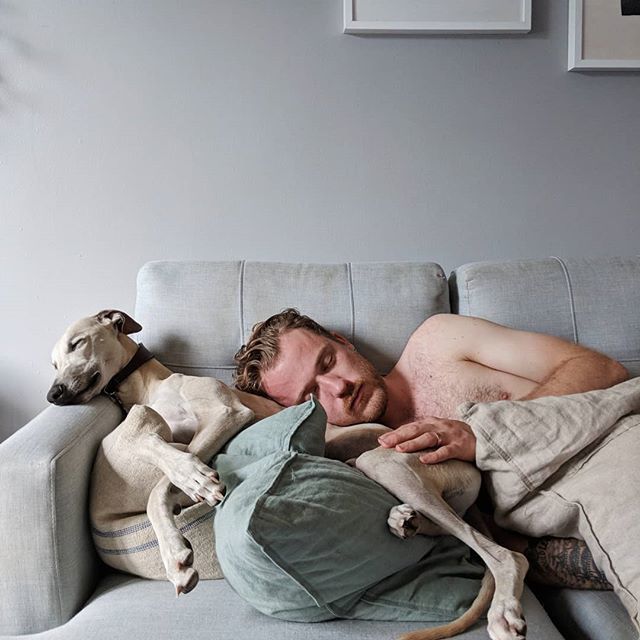 Caught the boys napping, too cute. Makes me feel like napping on this hump day! #50shadesofourhome ift.tt/2lknOQd