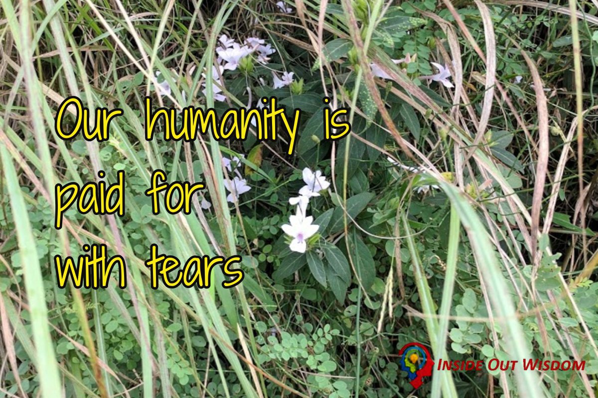 insideoutwisdom's tweet image. Our Humanity is paid for with tears.