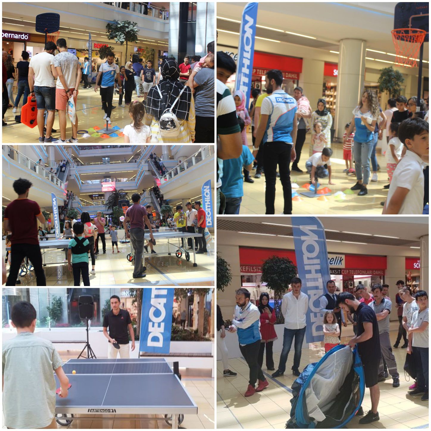 priznavane hranosmilane zasazhdane na drveta kayseri park decathlon okul cantalari metodika lysenko com
