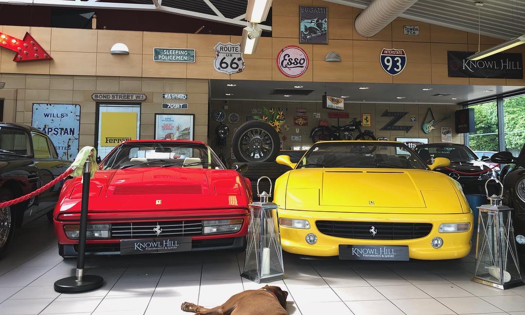 Ruby the “guard dog” protecting the 328 GTS and our F355 Spider - Two of our classic Ferrari’s in stock. 
•
•
•
#ferrari #ferrari328 #ferrari328gts #328gts #ferrarif355 #ferrarif355f1 #f355 #f355spider #ferrarispider #classicferrari #classiccars #cars #carsales #carsforsale