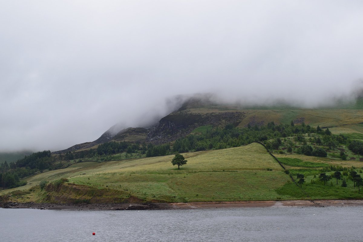 jayceb19's tweet photo. Heavy showers and some lovely mist at Dove Stone Reservoir earlier today ☔️💗#Greenfield #loveukweather #lonetree @StormHour @SnapYourWorld @EarthandClouds @RSPBDoveStone @metoffice @JonMitchellITV https://t.co/mMx0UuwChE