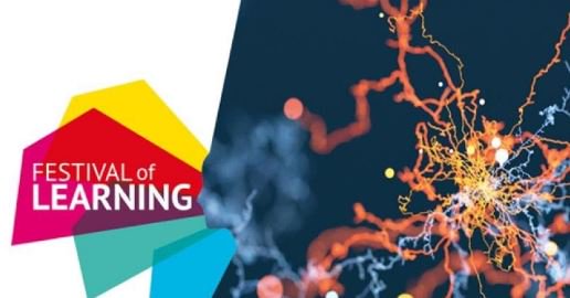Festivals @ Bournemouth University tweet media