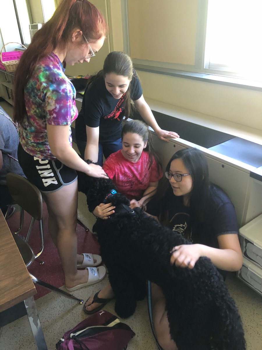 baker_guidance's tweet photo. Students playing with a therapy dog in the Baker High School "Zen Den" to relieve stress before regents exams. #wellnessmatters @BCSDBEES https://t.co/RIFY4mb2cB
