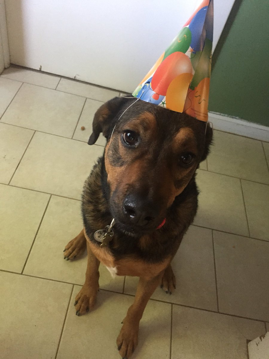 sethatco's tweet image. Some just turned terrible 2!!!