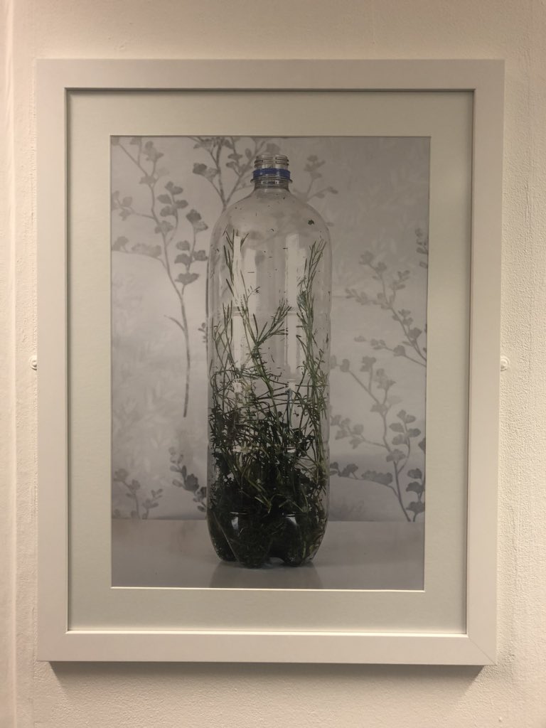 anand4560's tweet photo. @WLV_Arts very much enjoyed seeing the curated work of final year photo students. Well done! Glad to have been a very small part of the journey with @grainphotohub. https://t.co/Im2oyeatR0