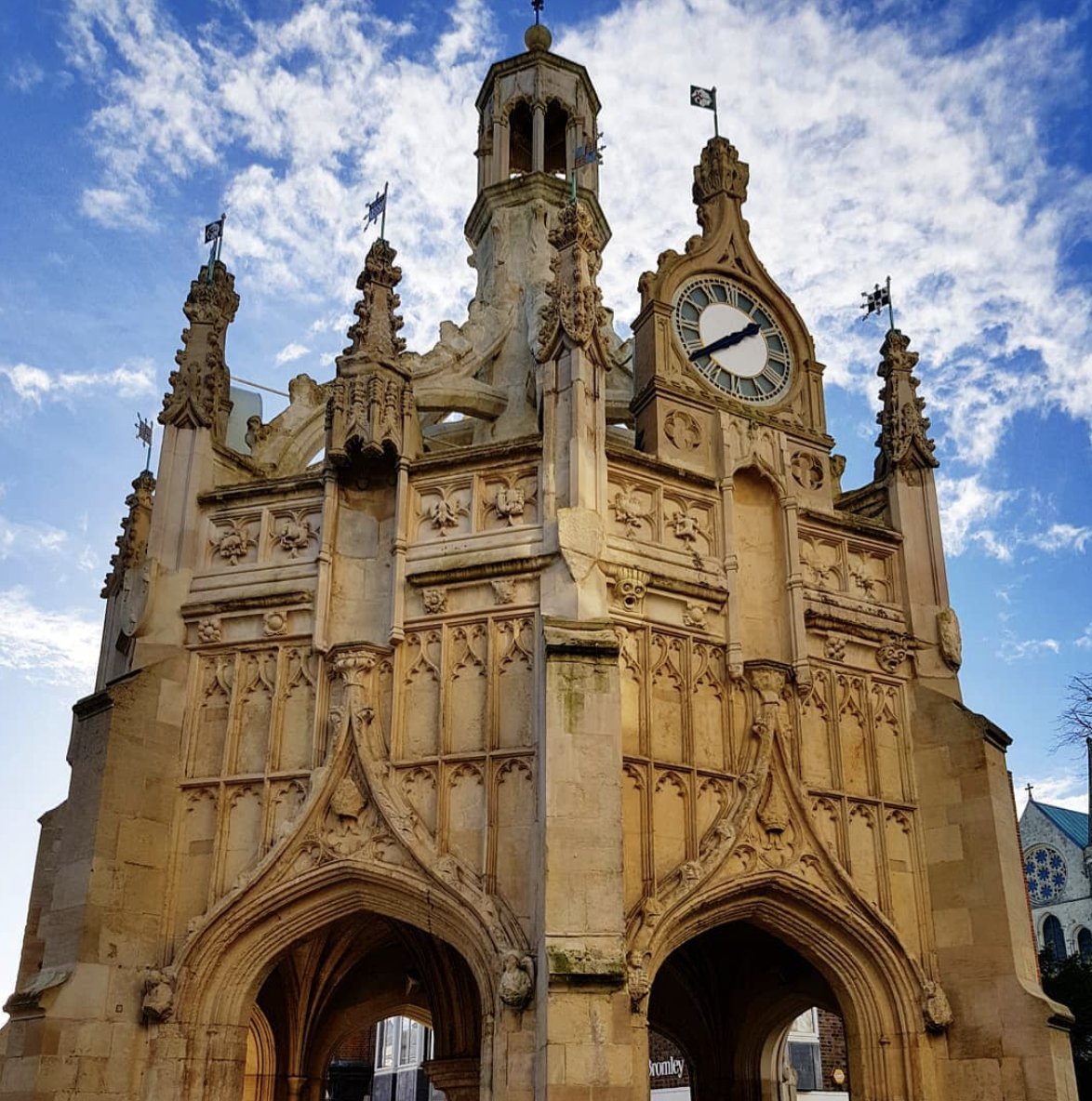 Artie's Kitchen tweet media