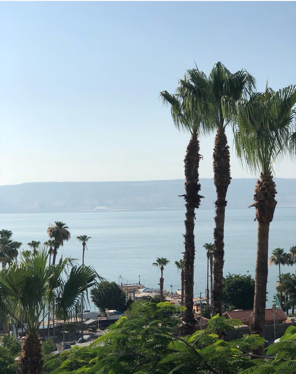 bcstm's tweet photo. Good morning from the Sea of Galilee! Our Holy Land class will be taking over the account today. Check out our story for sites from Nazareth and Mount Tabor, and reflections from our students, faculty, and staff! #BCSTMGlobal #STMSummer  @btheological https://t.co/EFjSVw0Pca https://t.co/y4oreEwVLR