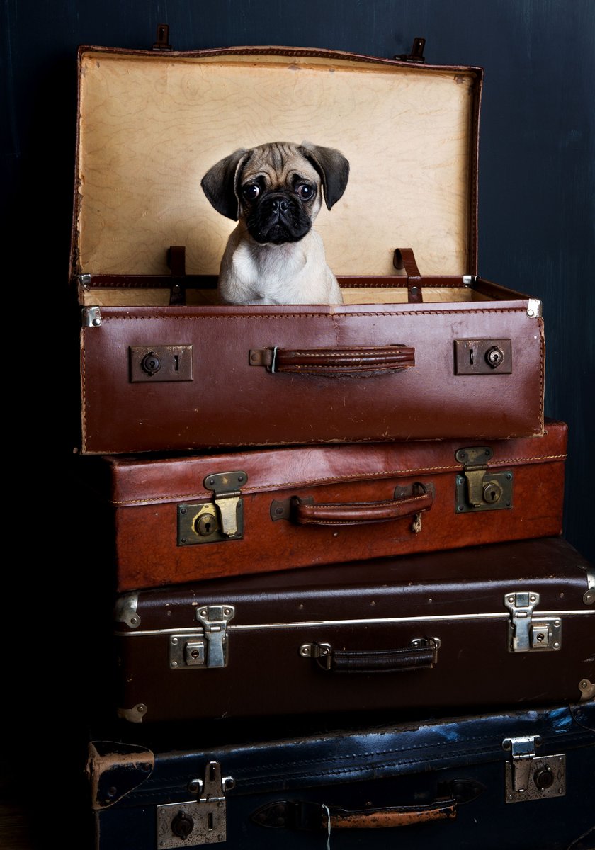 <a href="/mcauleystudios/">McAuleyStudios</a>  take pride in delivering  #exceptional #personalservice to capture your #memories perfectly, #professionally and #passionately and will be exhibiting in this Great venue with artists <a href="/emmafoz/">EmmaFozardMillinery</a> <a href="/studiolaurentay/">Studio Lauren Taylor</a> 7th &amp; 8th July #heatonsartstrail #HAT2018