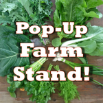 Photo by Calypso Farm (@CalypsoFarm)