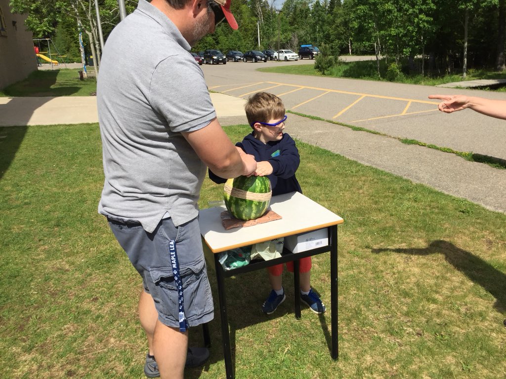 DeerIslandCS's tweet photo. Some awesome science stuff going on this week at DICS! #explodingwatermelon #skittlerainbows #floatingboats https://t.co/7T0ZdPetKZ