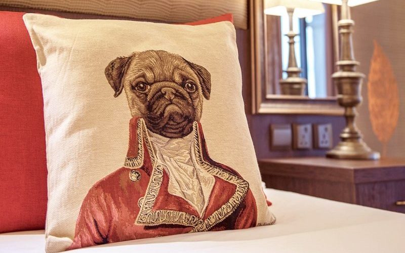 thetravellocker's tweet photo. Being treated like royalty @VictoriaHotelMT @ThePalaceMalta @AXhotelsMalta  @VisitMalta @Valletta2018 #Sliema #Valletta #Malta #ThePalace #AXHotels #AXperience #TemptAsian #pug #Victoria https://t.co/4ZOBHHwDmP