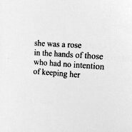 WildLioncss's tweet image. 