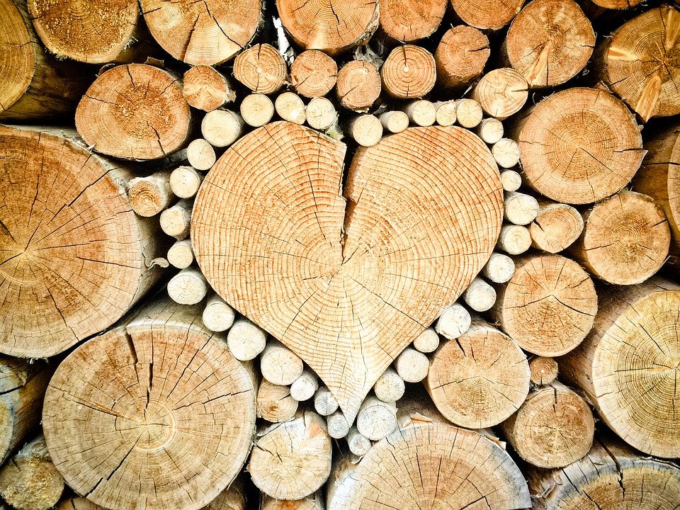 INTEDYAvalencia's tweet photo. La Cadena de Custodia (CdC) de los productos forestales se define como el seguimiento de los productos forestales (madera, papel, corcho, cortezas, resinas...) durante las distintas fases del proceso productivo y su posterior comercialización. https://t.co/IFu3cyjhhQ #Formación https://t.co/V2W23Y6i6G