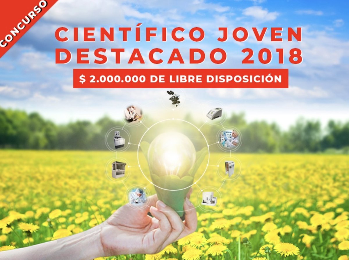 Romina P tweet media