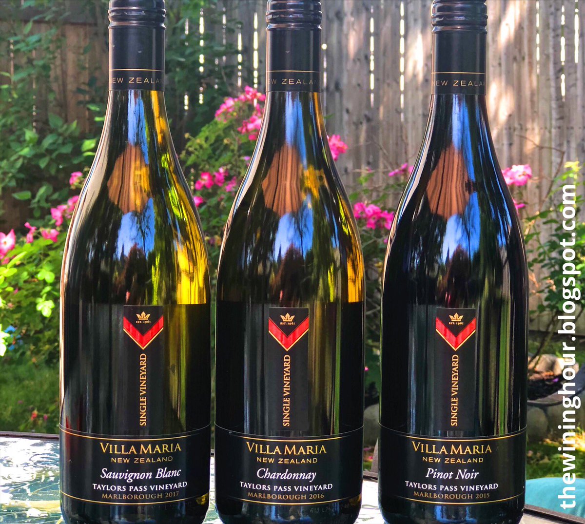 TheWiningHour's tweet photo. Itβs #WineWednesday! Join me to learn all about @villamaria_wine of New Zealand! Join us in 1hr for the #FirstSipNZ to #OpenAnotherWorld
.
#VillaMaria #NZ #Firstsipofsummer #NewZealand #ad #sponsored https://t.co/tHssW1JTFB