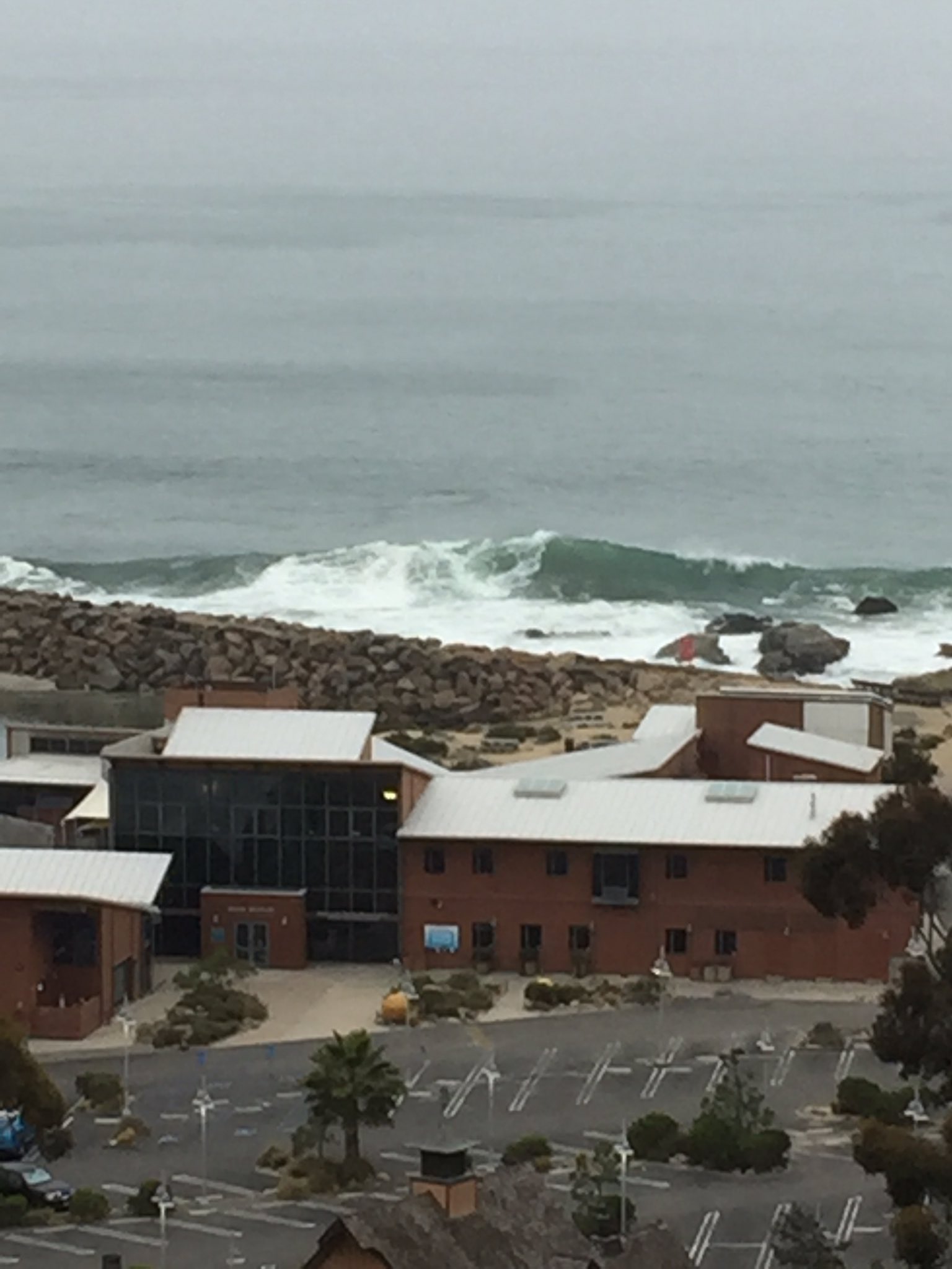 Killer dana surf break deals