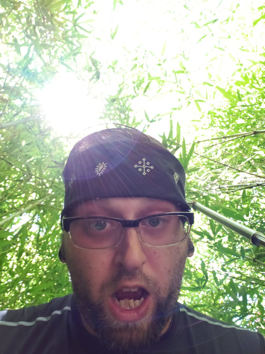 Pur3lyKa0t1cK's tweet image. I'm literally in a jungle of bamboo today! This is what pool guys in Oklahoma deal with! 
@HonorsHold 
@VeteransOfGames 
#poolboyproblems