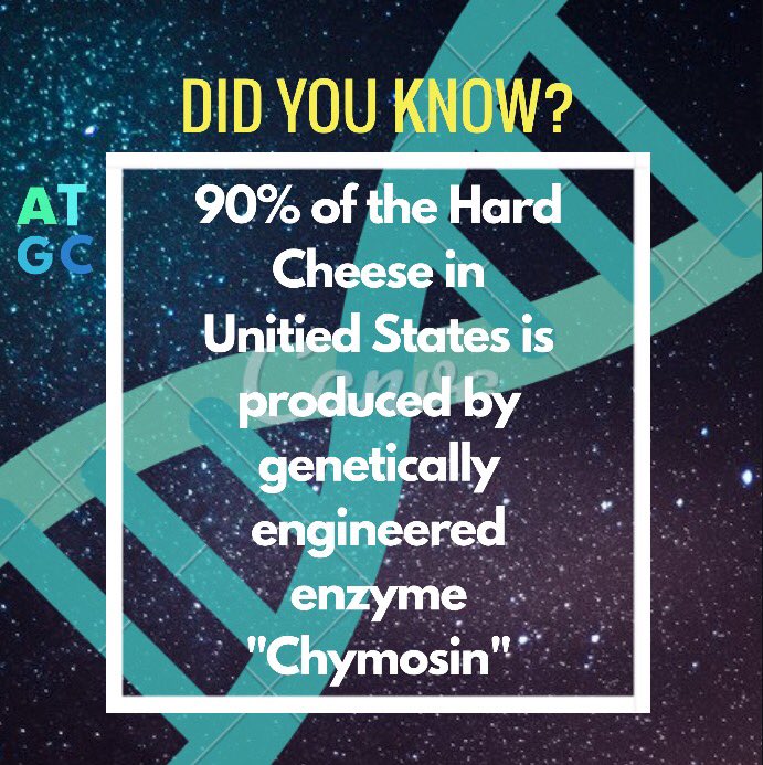 DecodersSociety's tweet photo. For all the cheese lovers π§,
"Chymosin also known as rennin a 323 aminoacid protein is a proteolytic enzyme obtained from calf stomach for the production of cheese!"
.
#Chymosin #Rennin #Protein #345aa #proteolyticenzyme #cheese #bioislife #Decoderssociety #Decoderspk https://t.co/LWaEvaKDbS