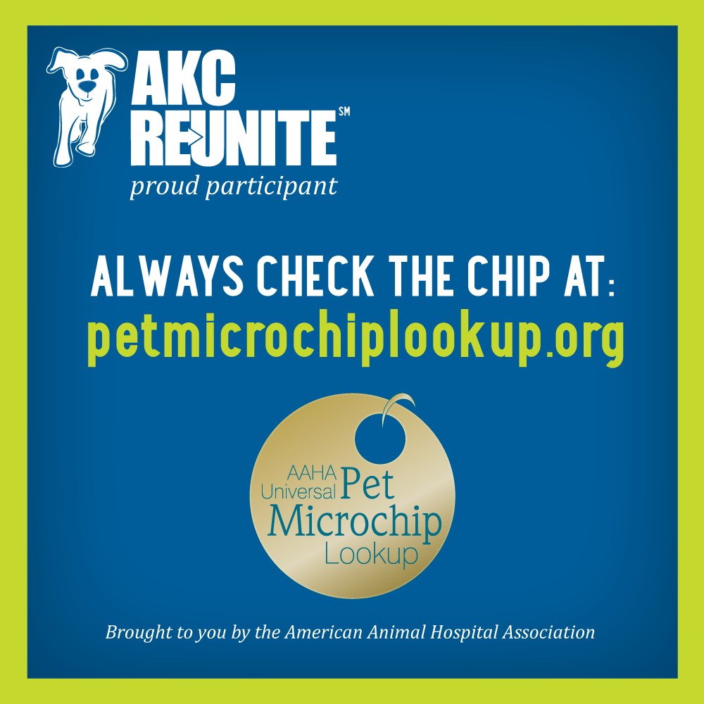 akc chip lookup