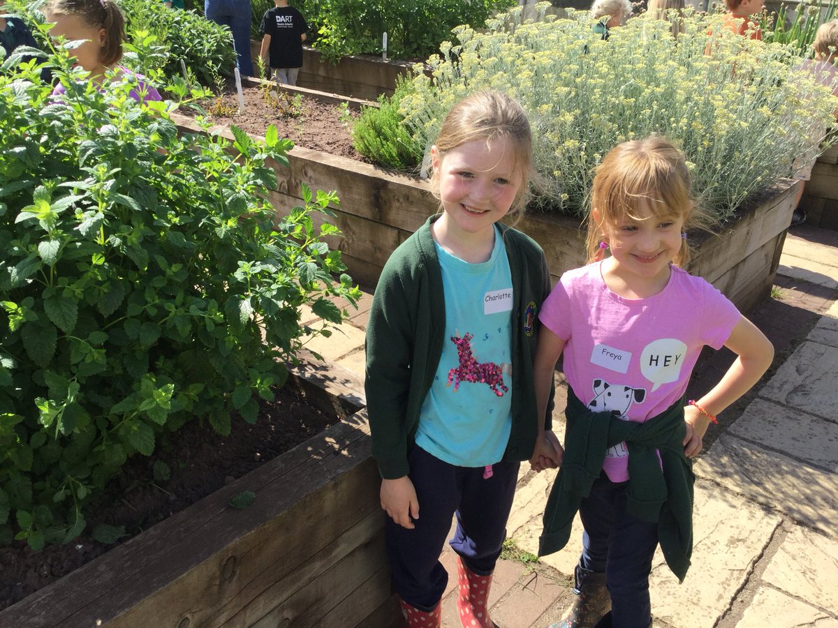 Walford Nursery & Primary School tweet media