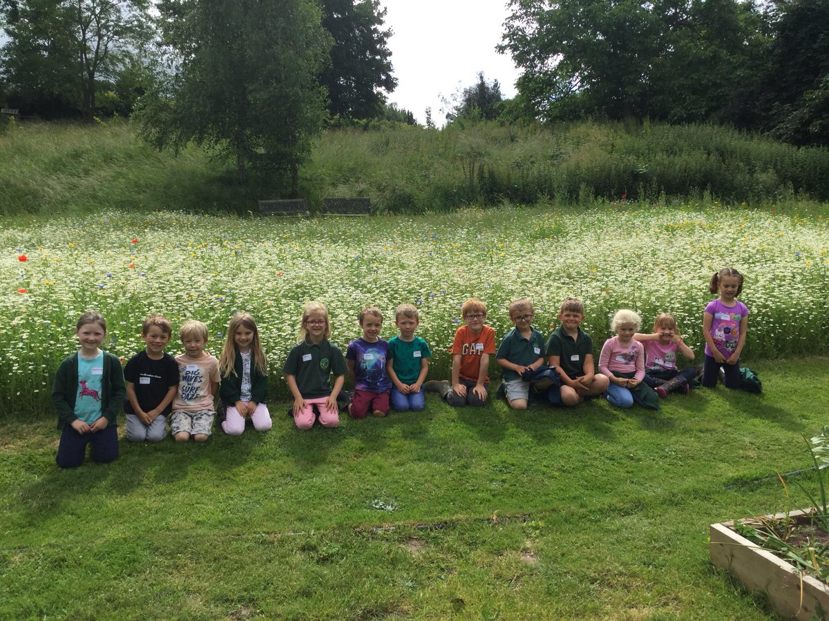 Walford Nursery & Primary School (@walfordschool) on Twitter photo A few more from Class 1 at the <a href="/haygrovecgdns/">Haygrove Com Gdns</a>. Thank you for our plants and strawberries! A few more from Class 1 at the <a href="/haygrovecgdns/">Haygrove Com Gdns</a>. Thank you for our plants and strawberries!