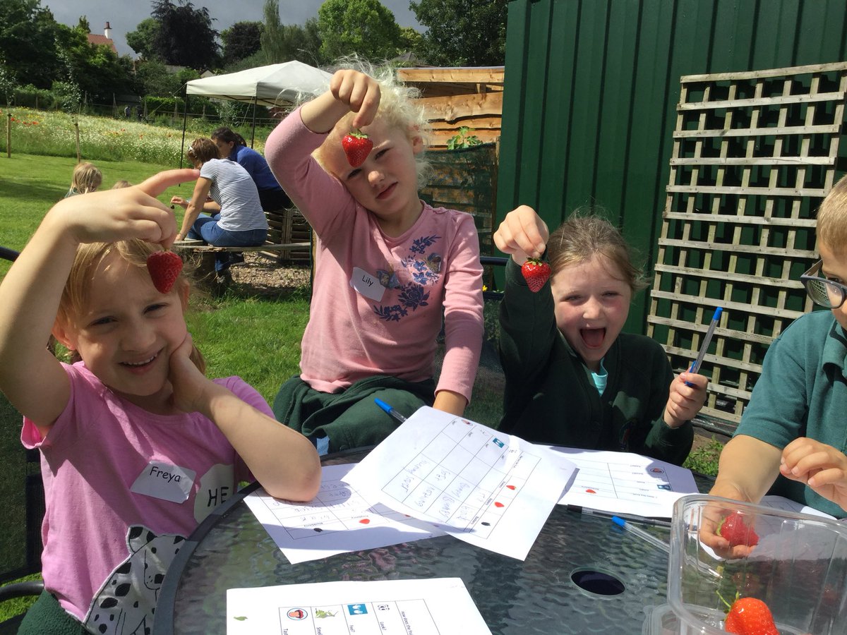 Walford Nursery & Primary School tweet media