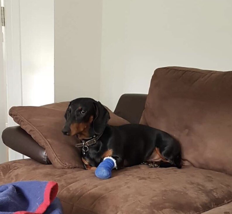 Richmond Sausage & Sage tweet media