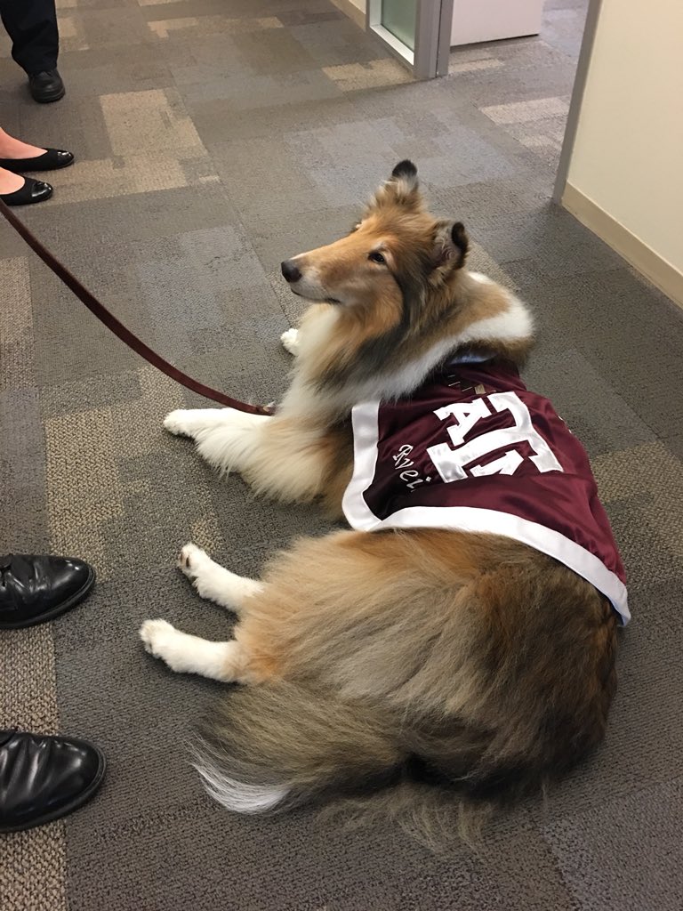 shanhines's tweet photo. First Lady of Aggieland came by the office today. 👍🏼 #aggieroyalty #missreveille #gigem https://t.co/NNTs7FtY93